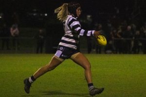 Cats continue to build