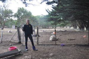 Shining a light on local volunteers