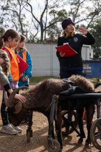 Farm starts a ’Kindness Club’