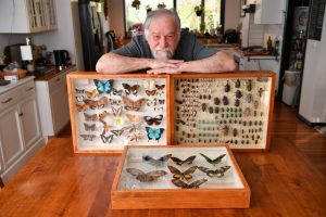 Entomologists swarm to Woodend