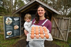 Winter challenges local farmers