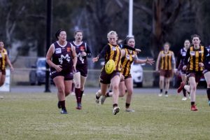 Hawks fight back in thriller