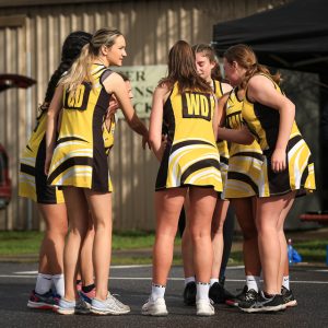 Tigers on the hunt for coaches