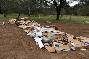 Historic site littered with rubbish