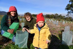 Taking care of the environment