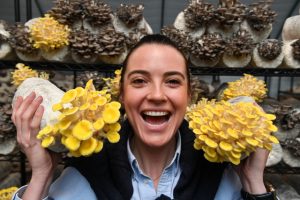 Future-focused farming