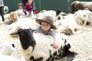 Sunbury Show returns