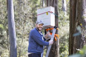 Bee aware this swarming season