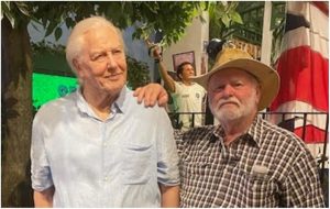 Protecting plants from peril