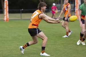 Four Calder Cannons drafted