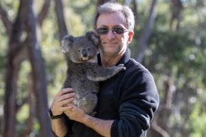 Shelter’s koala safety focus