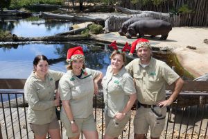 Christmas on the Savannah