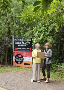 Local artists wanted