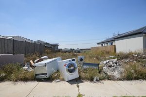 Maplestone dumping continues