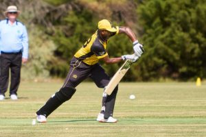 Bees, Dragons on top