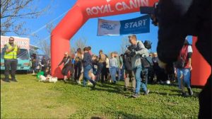 One last lap for RSPCA’s Million Paws Walk