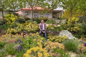 Designing dry garden oases