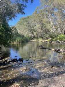 Caring for the catchment