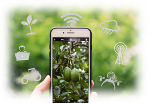 Goldie mobile coverage boost