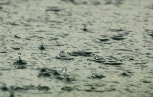 Year of low rainfall for Victoria