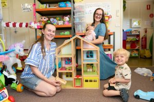 Toy library volunteer call