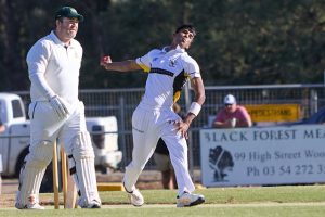 Bees stun Woodend