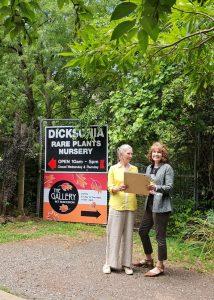 Art entries set to impress