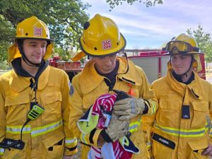 Bird rescue all in a day’s work