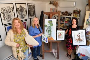 Studios open for autumn