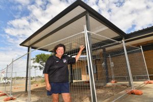 Shades pitched for Sunbury softball