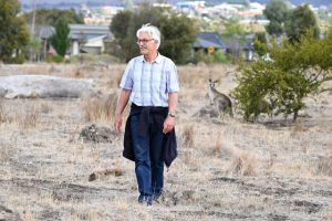 Kangaroo counters wanted