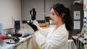 New liquid battery could break solar storage barrier