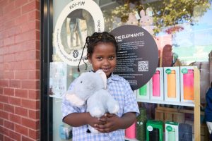 Let’s go on an elephant hunt