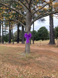 Purple bows decorate Macedon Ranges