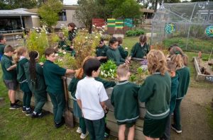 Exciting opportunities at Riddells Creek Primary School