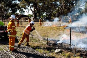 Native grasslands restored across Sunbury Line
