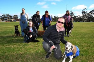 Tails are wagging for 40th anniversary