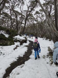 Scouting new members