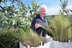 Giving the green thumbs up to biodiversity