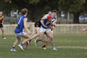 Lions sitting pretty