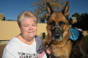 All bark and no bite