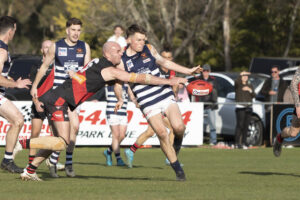 Cats push Bombers before falling short