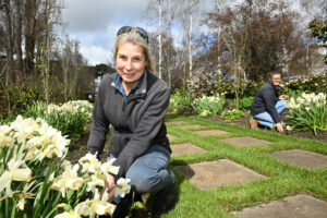 Bolobek’s blooming