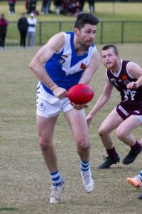 Cats back experience