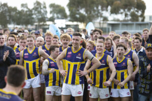 Sharks momentum continues to build