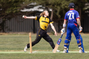 Bees continue to bring the pressure