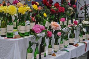 Supporting families through still births and miscarriages