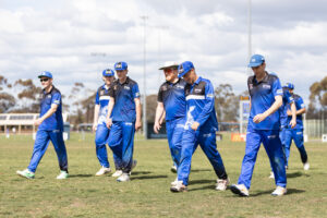 Kangaroos beat the rain, Tigers