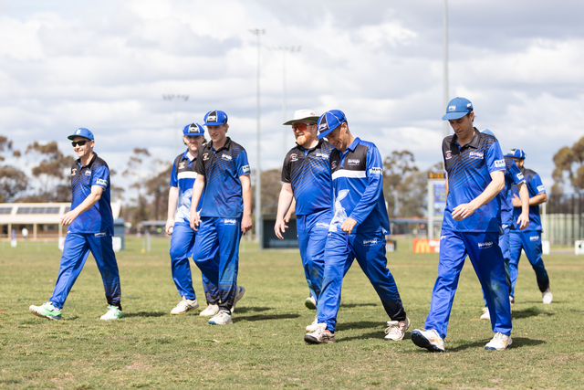 Kangaroos beat the rain, Tigers