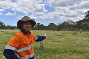 Protecting the Golden Sun Moth